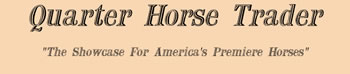Quarter Horse Sales