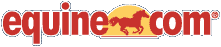 More internet horse sales